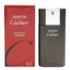 Cartier Santos De Cartier Eau De Toilette 100 Ml -Sconto Regalo Di Profumo in Italia 127682