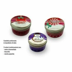 Sinsin Candela Profumata In Barattolo Latta