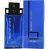 Jacques Bogart Story Blue Eau De Toilette 100 Ml Spray -Sconto Regalo Di Profumo in Italia 219085