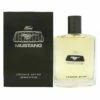 Mustang Ford Mustang Cologne Spray Profumo Uomo 100ml Spray -Sconto Regalo Di Profumo in Italia 301871