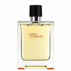 Hermès Hermes Terre D'Hermes Eau De Toilette 100 Ml Spray