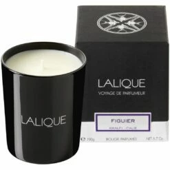 Lalique Voyage De Parfumeur Figuier Amalfi Candela Profumata 190 G